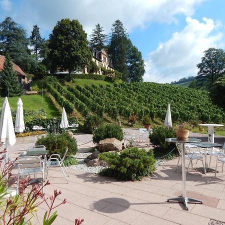 Wein Lodge Durbach - Gruppenhaus Weingut Neveu Екстериор снимка